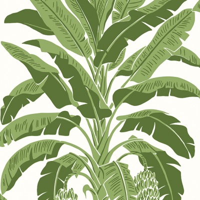 Thibaut Banana Tree Wallpaper in Green